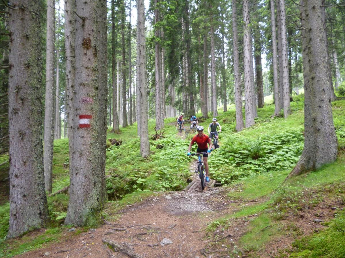 Harmls Aparthotel Flachau Eksteriør billede